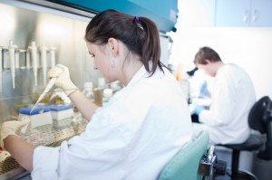 investigación