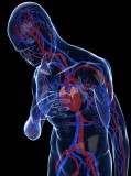 La tasa de la insuficiencia cardiaca crece más de un 30% en la última década La tasa de la insuficiencia cardiaca crece más de un 30% en la última década