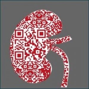 código QR campaña FRIAT