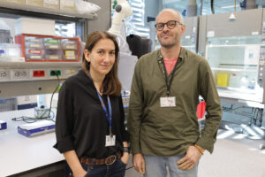 Un análisis de sangre para prever el riesgo de ictus isquémico según las grasas de la dieta