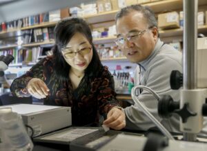 La Fundación de Investigación FOXP1 busca financiación para lanzar su primer programa de terapia génica