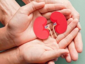 El total de españoles que necesitan diálisis o trasplante renal se situó en 68.400 el año 2024