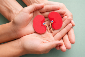 Cerca del 30% de la población presenta algún grado de enfermedad renal