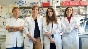 Diabetes tipo 1: Científicos logran generar células productoras de insulina a partir de células de la piel humana