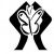 Logo de (AML) - Asociación Malagueña de Lupus