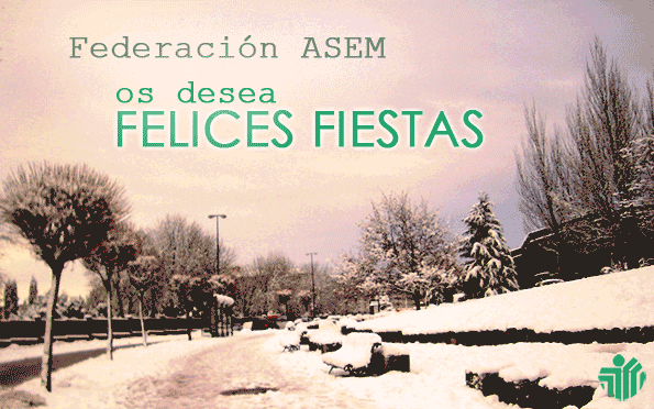 Navidad Federación ASEM
