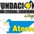 Logo de (ATECEA) - Asociación de Traumatismo Encéfalo Craneal y Daño Cerebral de Aragón