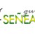 Logo de (GURE SEÑEAK) - ASOCIACIÓN GURE SEÑEAK DE APOYO A LAS FAMILIAS CON NIÑOS Y NIÑAS CON ENFERMEDADES RARAS Y/O SITUACIONES ESPECIALES DE DISCAPACIDAD de DERIO (BIZKAIA)
