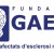 Logo de (GAEM) - Fundación Grupo de Afectados de Esclerosis Múltiple