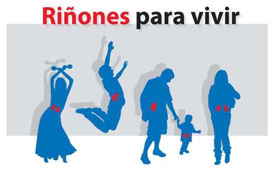 “Riñones para vivir”, lema de un Día Mundial que insiste en la ...