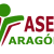 Logo de (ASEM ARAGÓN ) - Asociación Aragonesa de Enfermedades Neuromusculares