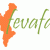 Logo de (FEVAFA) - Federació Valenciana d\'Associacions de Familiars de Persones amb Alzheimer