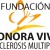 Logo de (ViveEM) - Fundación Sonora Vive con Esclerosis Múltiple 
