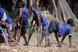 La OMS quiere erradicar la polio antes del año 2018