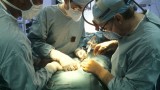 Dos de cada diez trasplantes renales ya proceden de donante vivo