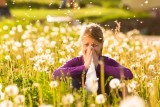 Una primavera «de leve a moderada» para los pacientes alérgicos a las gramíneas