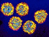 Presentado el Grupo de Apoyo a Enfermos de Hepatitis C