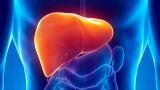 FNETH alerta de falta de información ante los nuevos tratamientos para hepatitis C