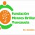 Logo de (Fundameb.ve) - Fundación Mentes Brillantes Venezuela
