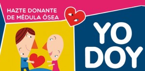 donación de médula ósea