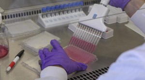 investigacion-para-vacuna-contra-el-ebola-en-la-universidad-de-vanderbilt