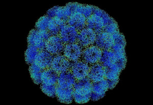 virus-del-papiloma-humano
