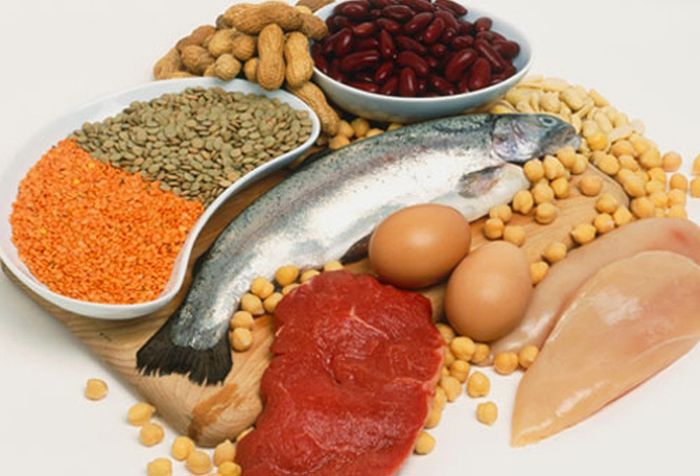 Dieta Hiperproteica | PDF