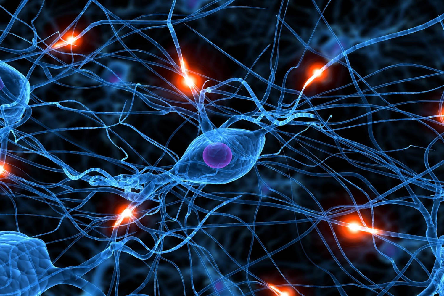 ‘II Jornada de Enfermedades de los Neurotransmisores’ de De Neu