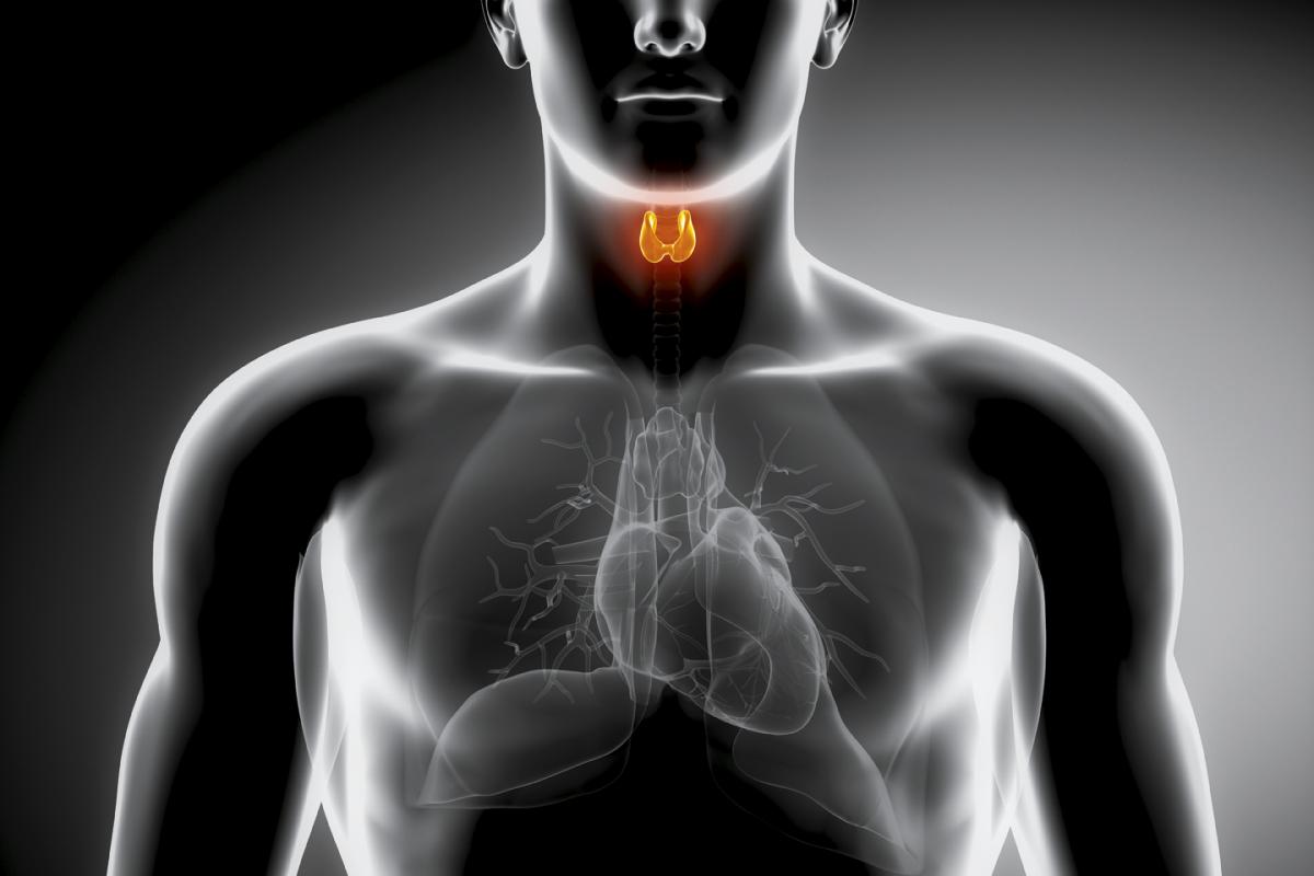 Cada día se diagnostican en España diez casos de cáncer de laringe