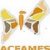 Logo de (ACFAMES) - Associació Catalana de Familiars i Malalts d'Esquizofrènia