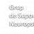Logo de (GSN) - Grup de suport neuropsicològic