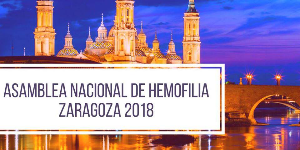 XLVII Asamblea Nacional y XXV Simposio Médico-Social de FEDHEMO en Zaragoza