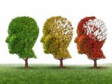 La recuperación funcional es clave en la enfermedad mental grave La recuperación funcional es clave en la enfermedad mental grave