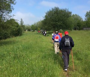 HAEi y AEDAF organizan del 15 al 19 de mayo un recorrido especial del Camino de Santiago.