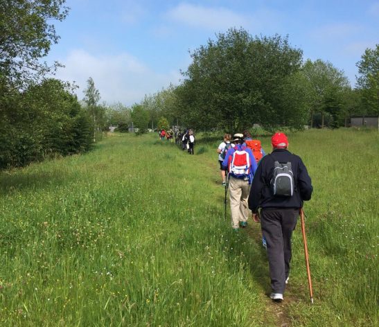 HAEi y AEDAF organizan del 15 al 19 de mayo un recorrido especial del Camino de Santiago.