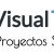 Logo de (Visual TEAF) - Asociación Visual TEAF