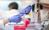 Todo sobre la investigación en diabetes que se realiza en España Todo sobre la investigación en diabetes que se realiza en España