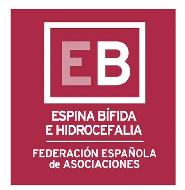 Proyecto para el fortalecimiento de la red de asociaciones de FEBHI