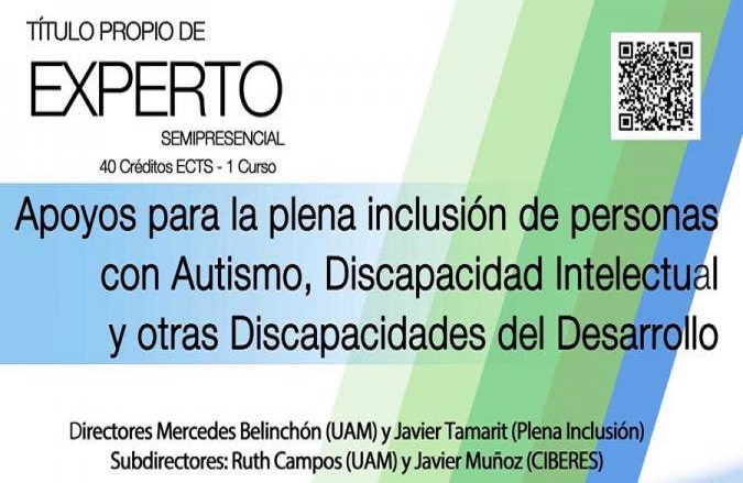 Curso de Experto en Apoyos a personas con discapacidad intelectual o del desarrollo