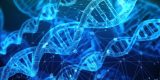 La OMS lanza un registro mundial sobre la edición del genoma humano La OMS lanza un registro mundial sobre la edición del genoma humano