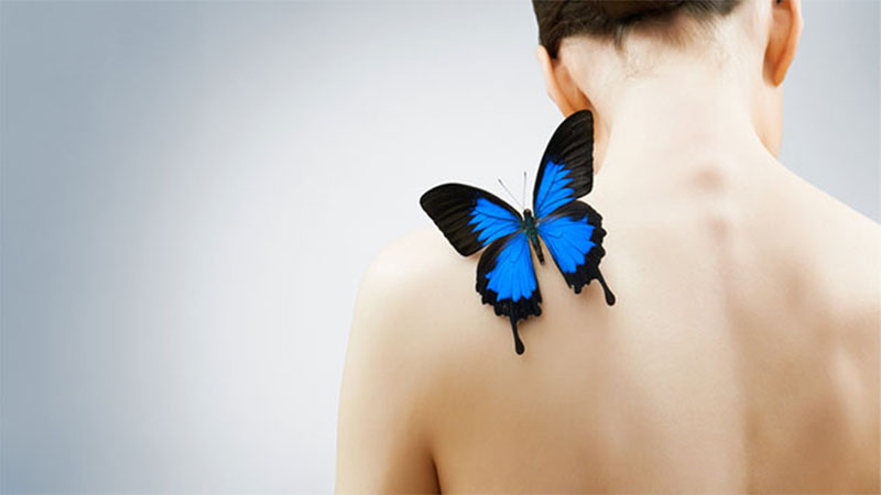Más investigación en piel de mariposa