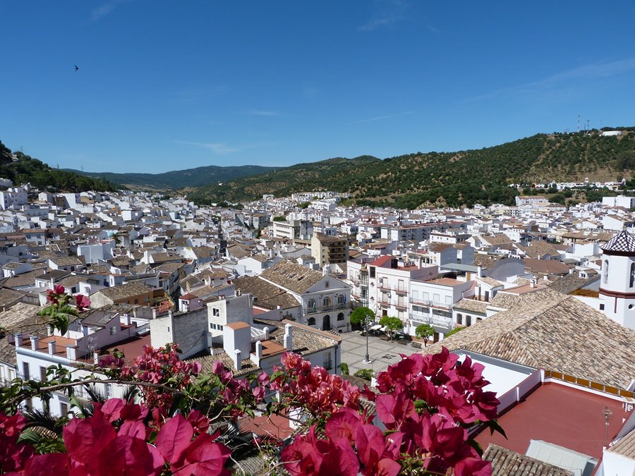 Párkinson Rural