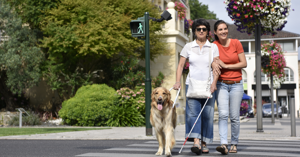 Castellón compite por el Premio Ciudad Accesible de la UE