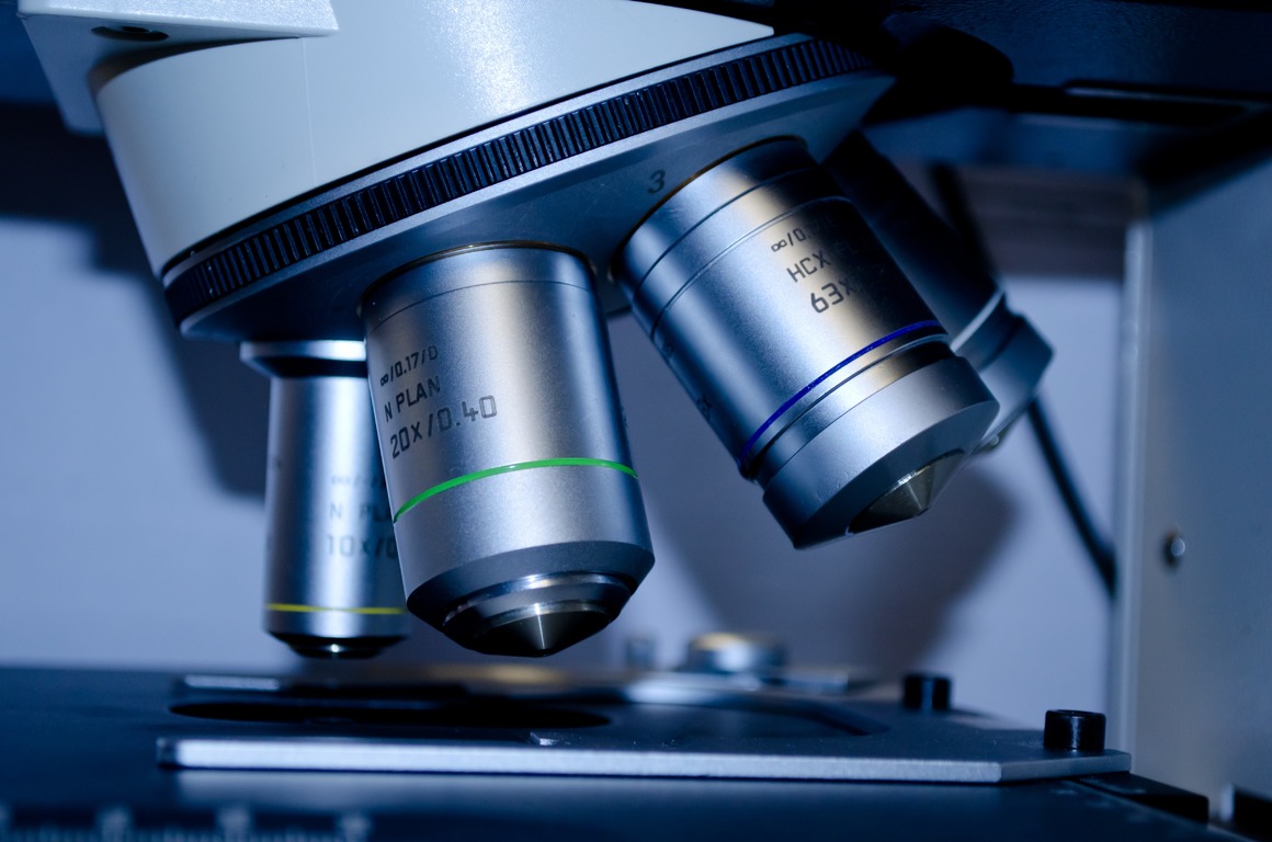 Beca para la investigación de la celiaquía