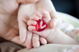 Beca para la investigación en cardiopatías congénitas Beca para la investigación en cardiopatías congénitas