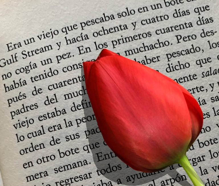 Concurso de relatos cortos sobre el Parkinson