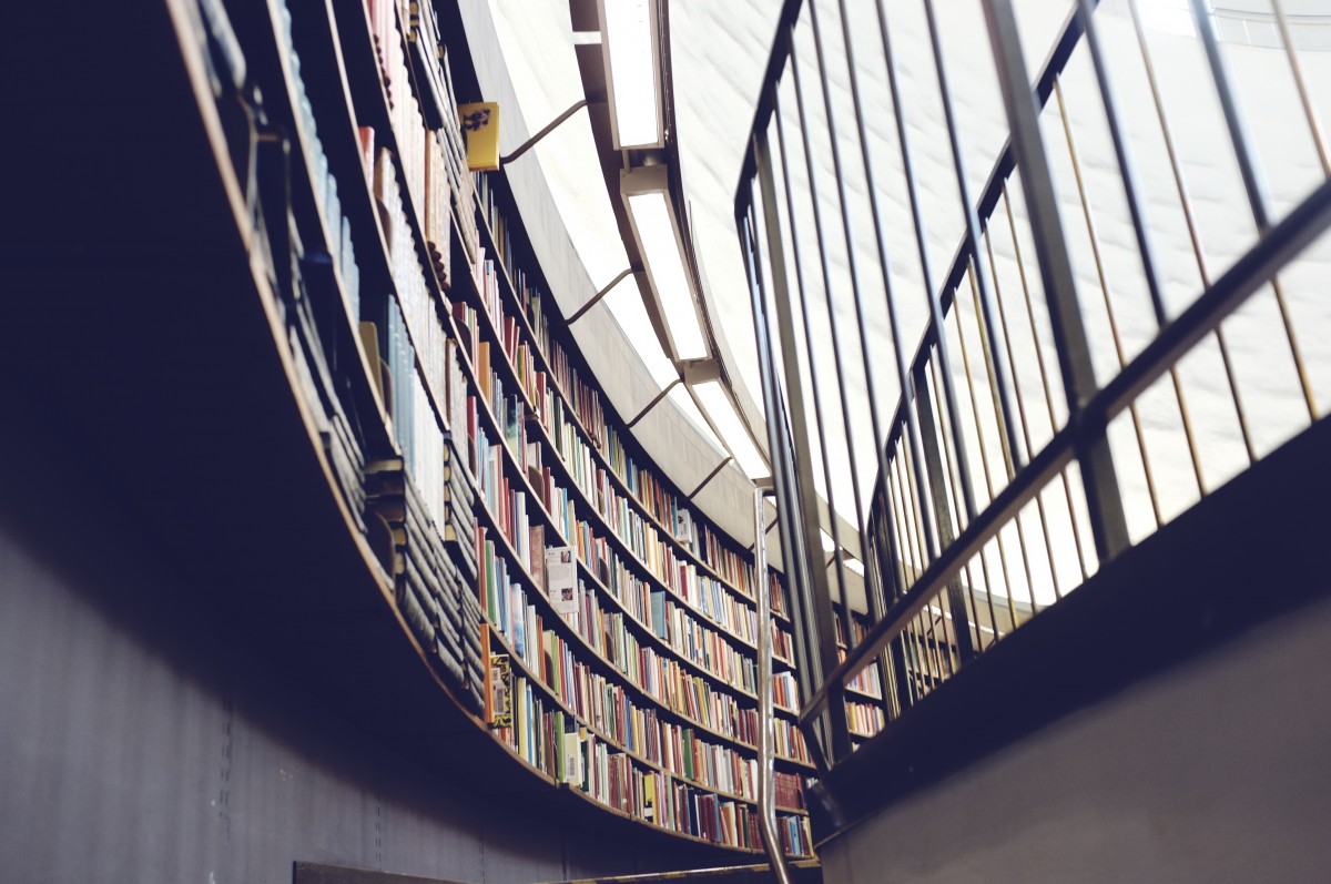 La parálisis cerebral llega a las bibliotecas de Castilla y León