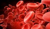 Recomendaciones para el tratamiento de la hemofilia B Recomendaciones para el tratamiento de la hemofilia B
