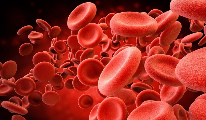 Recomendaciones para el tratamiento de la hemofilia B