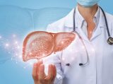 Un estudio muestra que los hígados de pacientes con hepatitis C son seguros para el trasplante Un estudio muestra que los hígados de pacientes con hepatitis C son seguros para el trasplante